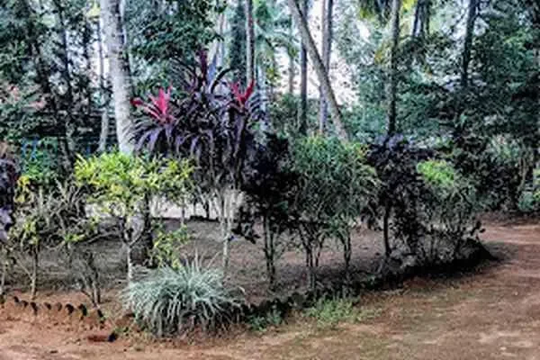 Image of: Palma Gardens Restaurant Hotel - Garden Dining with Local & Continental Dishes