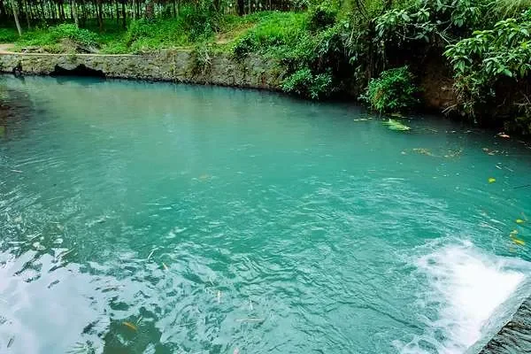Image of: Perunchilambu Stream Check Dam Waterfall Guide