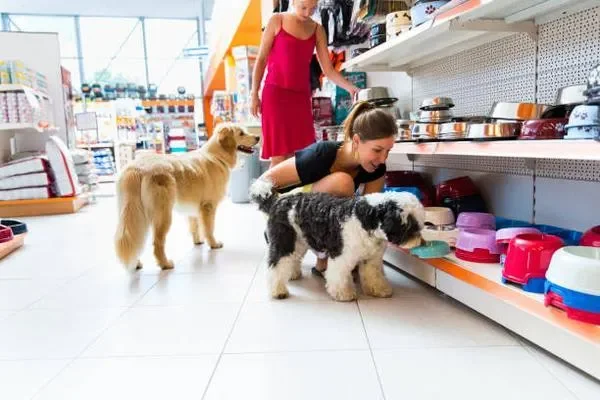 Image of: Pet Market – Trusted Pet Store in Valvachagostam
