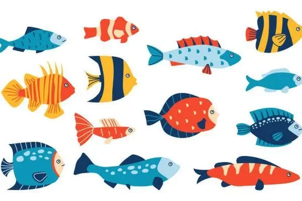 Image of: Pikku Guppy Farm – Vibrant Guppy Breeding in Vavarai