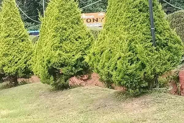 Image of: Priya Hotel - Budget Hotel with Local Cuisine