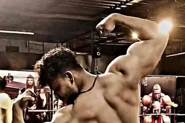 Image of: Pro Gym - Comprehensive Fitness Center