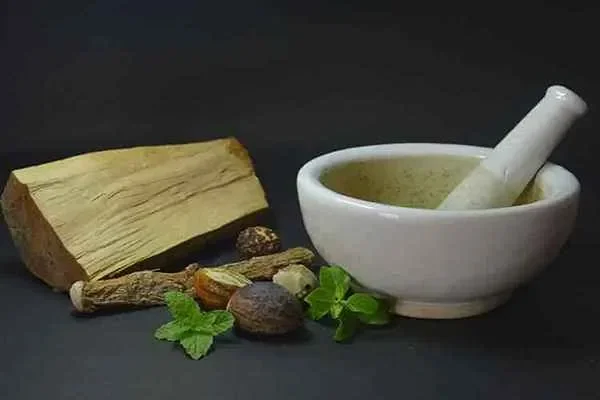 Image of: Punarvaasu Ayurvedic Wellness Centre