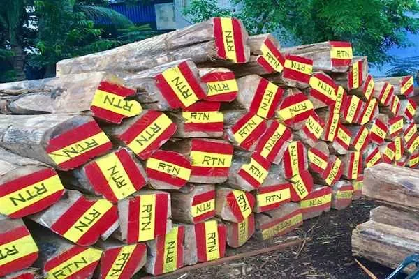 Image of: R.T.N Sekar Timbers