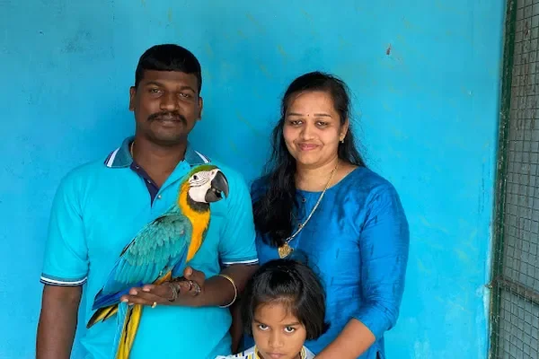 Image of: RIHANNA PETS – Quality Pet Store in Kuzhithurai