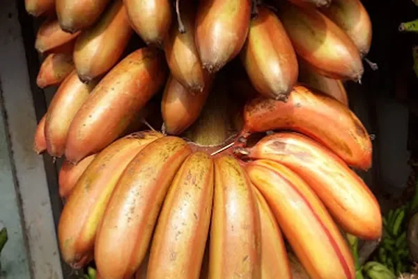 Image of: R.KrishnaKumar (Banana Wholesale & Retail Business) Nagercoil