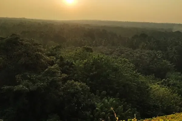 Image of: River Rock Viewpoint - Scenic Spot for Nature Lovers