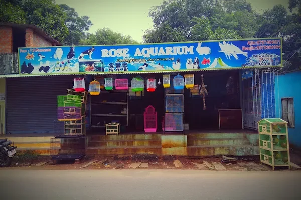 Image of: Rose Aquarium – Vibrant Fish Supplies in Arumanai