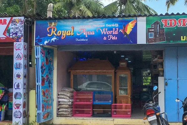 Image of: Royal Aqua World & Pets – Aquatic & Pet Supplies in Kuzhithurai