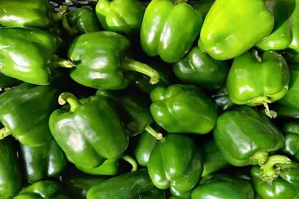 Image of: S Kandaswamy & Sons - Trusted Local Shop for Essentials