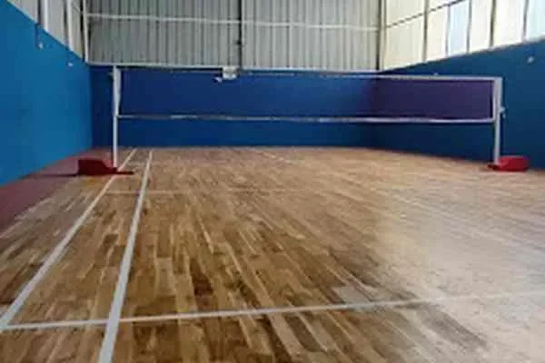 Image of: SMBC Badminton Club - Recreational Sports & Friendly Community