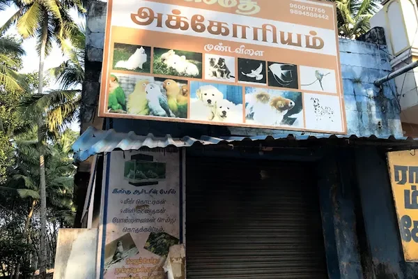 Image of: Smith Aquarium – Premium Pet Shop in Kulasekharam
