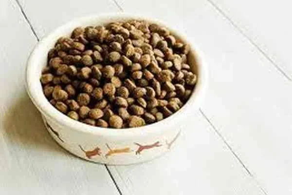 Image of: Sri Biks Feeds - Bike Gear & Accessories