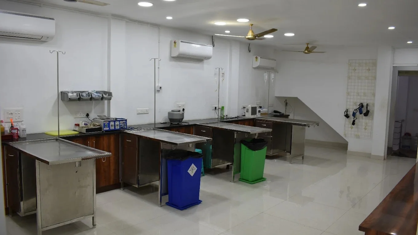 Image of: SS Pet Clinic in Ellis Nagar