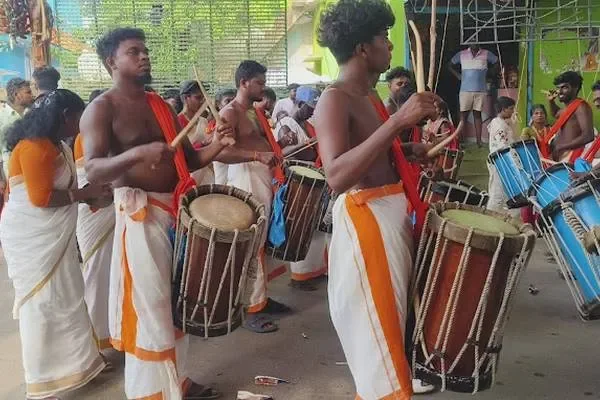 Image of: Star Singarimealm - Discover Unique Culinary Delights