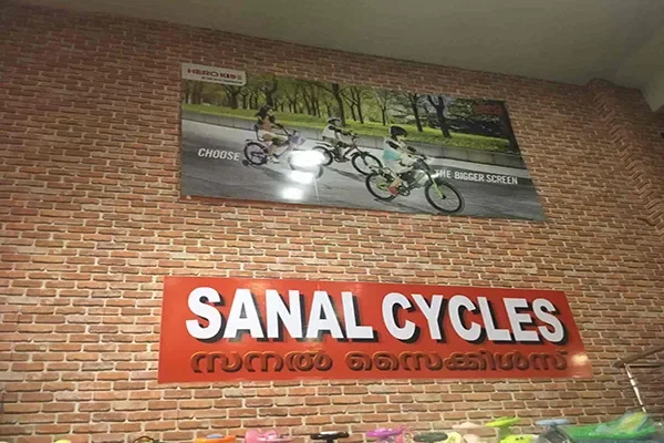 Image of: Sanal Cycles
