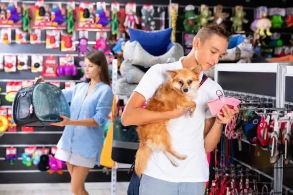 Image of: Shine Pets – Reliable Pet Store in Ritapuram