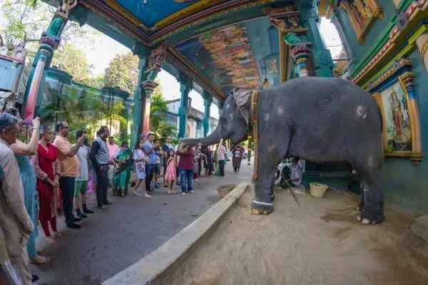 Image of: Shri Ayyappan Temple Thengamputhur