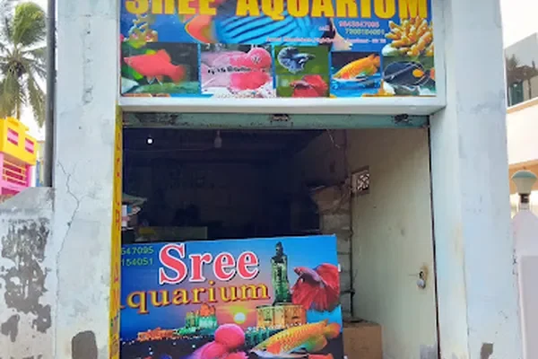 Image of: Sree Aquarium – Trusted Pet & Fish Supplies in Kanniyakumari