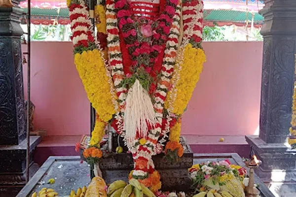 Image of: Sree Badhrakali Amman Temple-Thiruvarambu