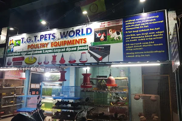 Image of: TGT Pets World Poultry Equipment – Pet & Poultry Supplies in Suchindram