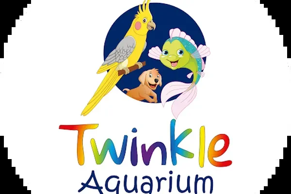 Image of: Twinkle Aquarium – Vibrant Fish & Aquariums in Kurunthancode