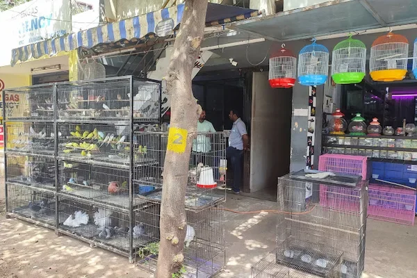 Image of: The Shark Pet Shop – Pets & Aquarium Supplies in Marthandam