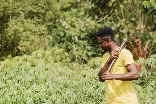 Image of: Thovalai Co Operative Bank for Agriculture Rural Development