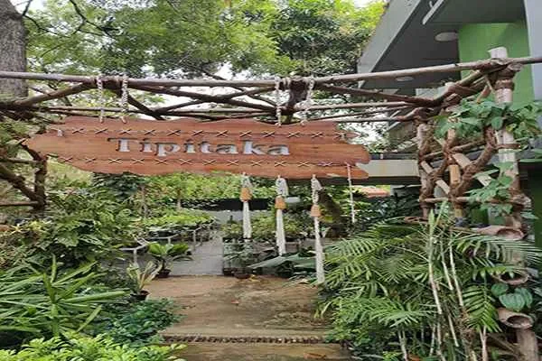 Image of: Tipitaka Plant Nursery