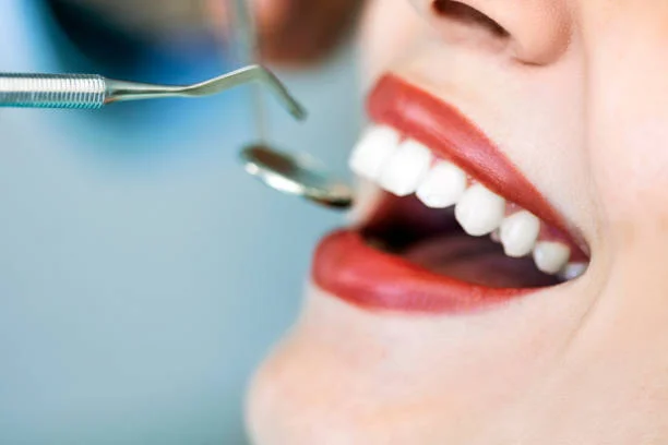 Image of: Tooth World in Periyar