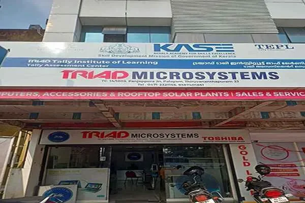 Image of: Triad Microsystems