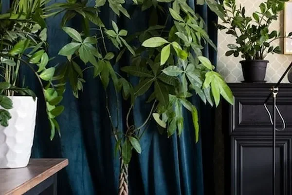 Image of: Tyekon Interiors - Innovative Design Solutions