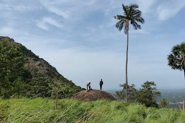 Image of: Valli Chunai - Unique Products for Modern Living