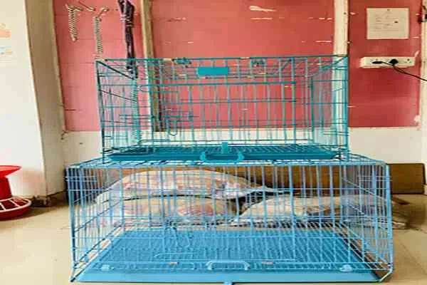 Image of: VM Pets Mart - Pet Supplies and Accessories