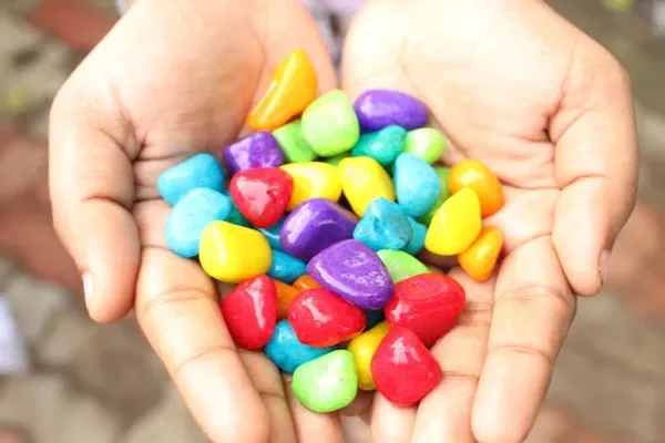 Image of: VR Aquarium – Exotic Fish & Aquariums in Neyyoor