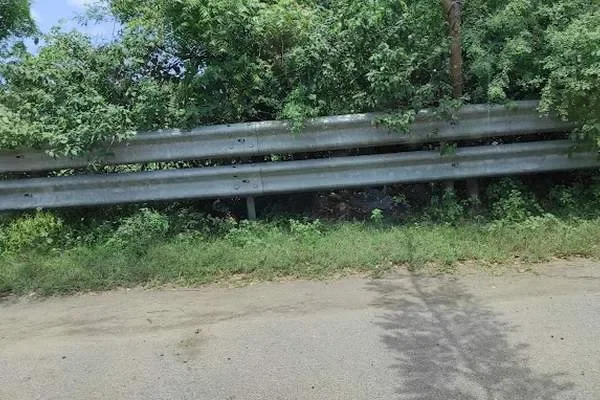 Image of: View Point Bird Sanctuary - A Birdwatchers Paradise