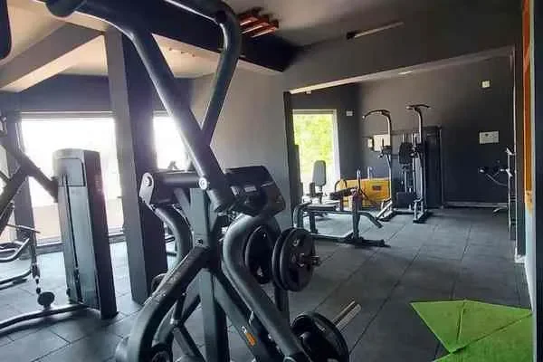 Image of: World Gym - Professional Fitness and Wellness