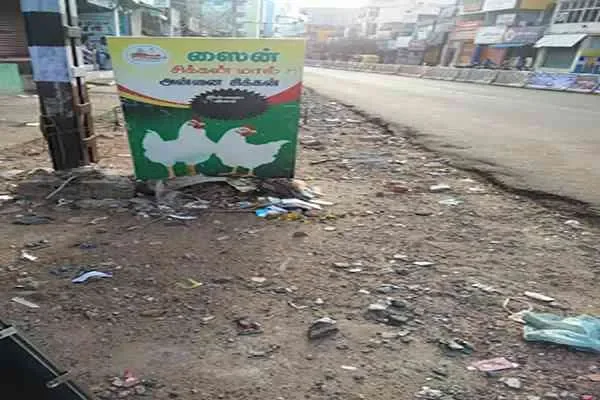 Image of: Zain Annai Broilers - Quality Chicken and Broilers