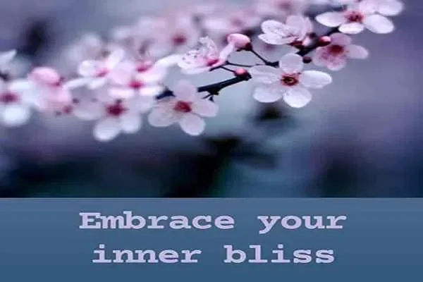 Image of: Zatori - Arts Based Therapy Studio And Wellness Centre