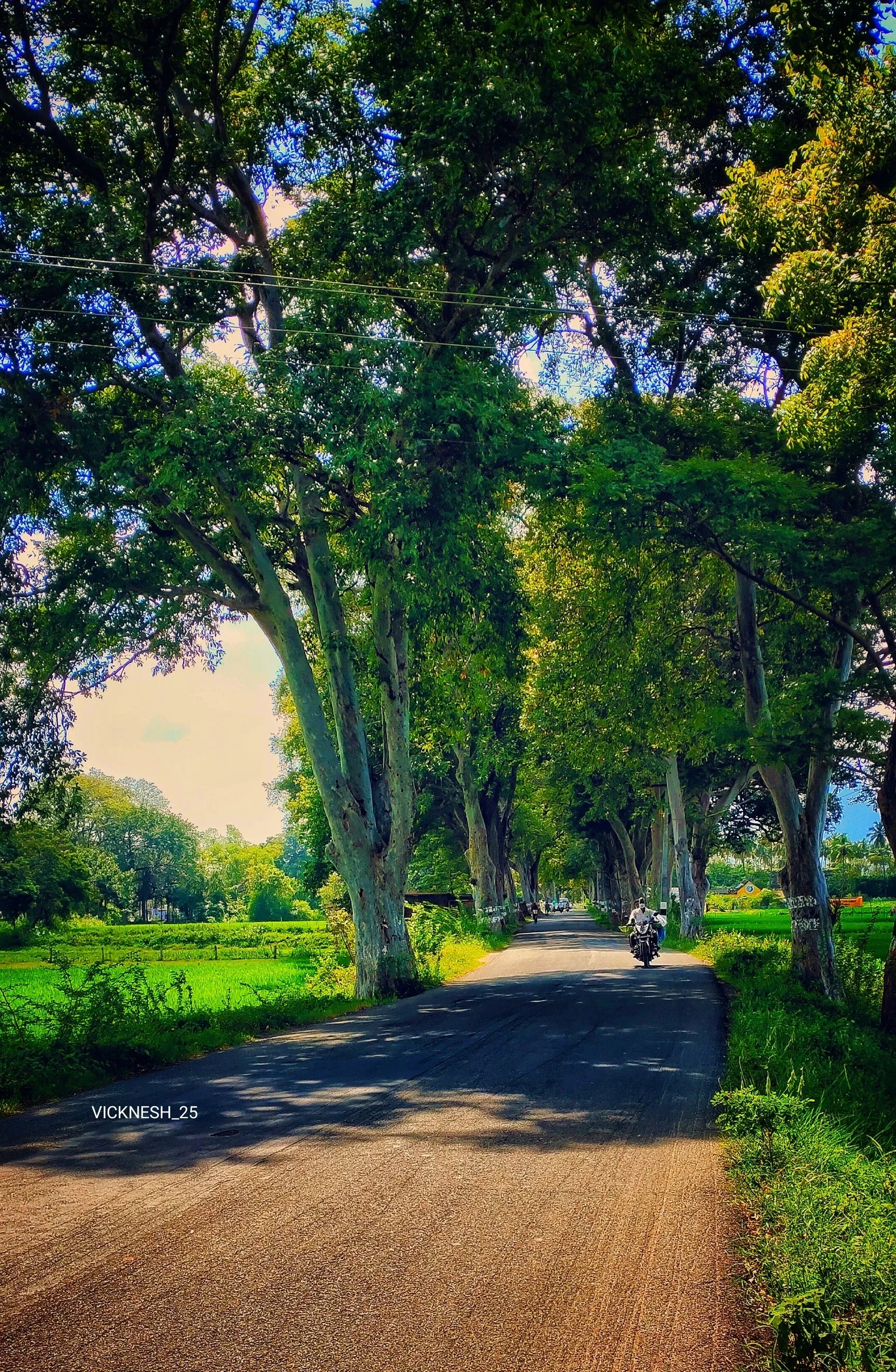 Image of: Cinema Shooting View Point Cheranmahadevi Travel Agents