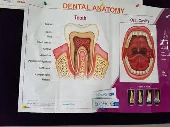 Image of: Punnagaiy Dental Clinic in Madurai