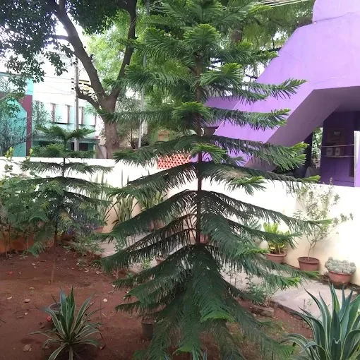 Image of: Seethalaksmi Nagar Park in Madurai