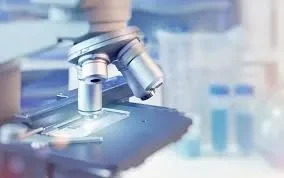 Image of: Shiree Devi Malar Disital X in Tallakulam