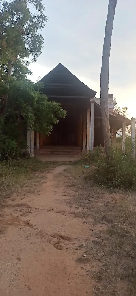 Image of: Sri Thiruvengadamudayan Temple Nanguneri Tamil Nadu Sacred Place