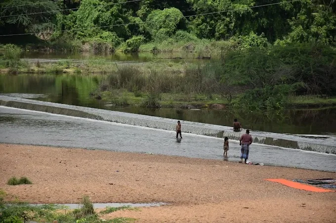 Thiruvedagam Vaigai River Check Dam in Madurai