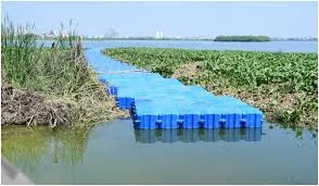 Vandiyur Kanmai in Madurai