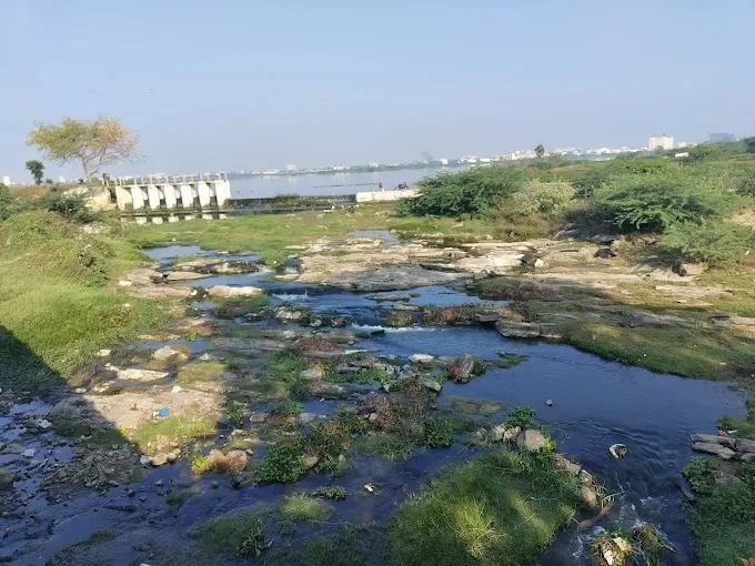 Vandiyur Lake View in Madurai