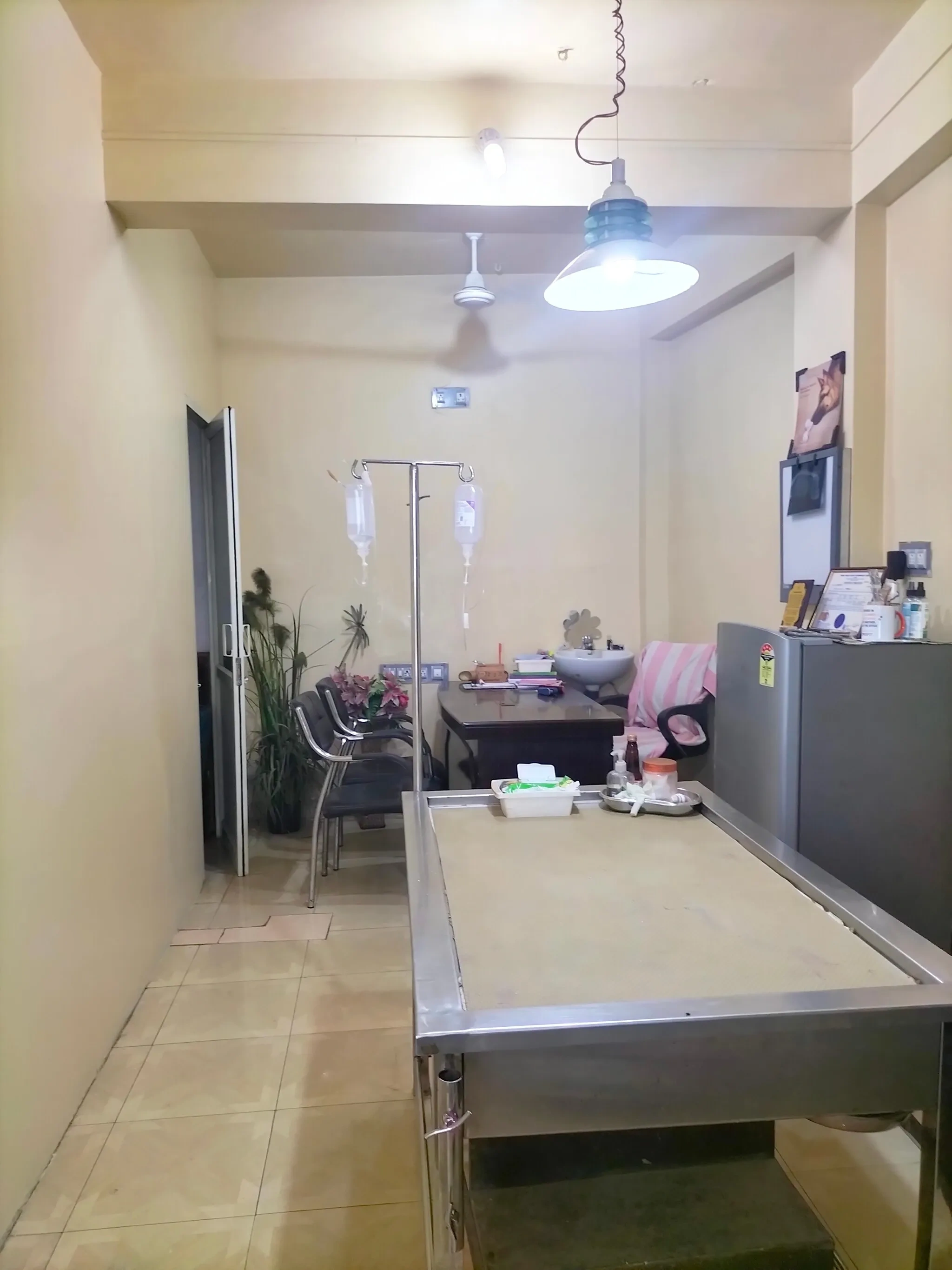 Image of: veterinary hospital Tennirkulam