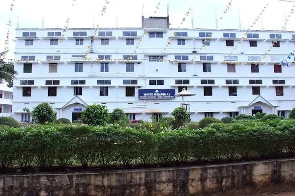 Image of: White Memorial College of Education and Insights