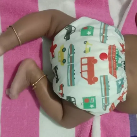 Image of: Bum2Bum Modern Cloth Diaper Reusable For Babies in Perambur